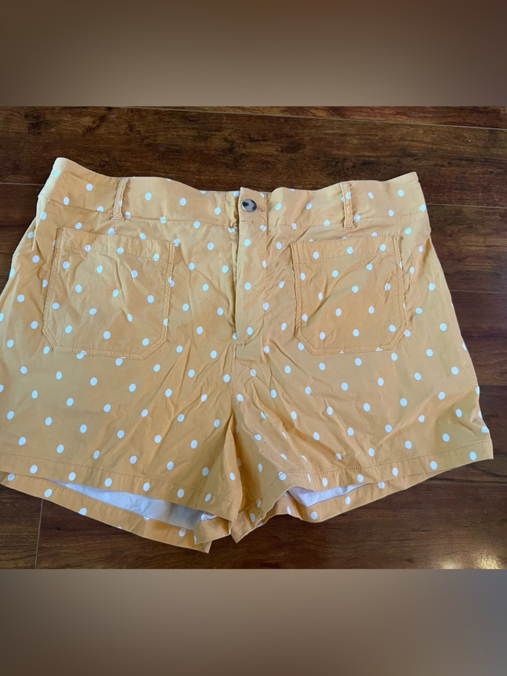 Anthropologie polka dot shorts size 22